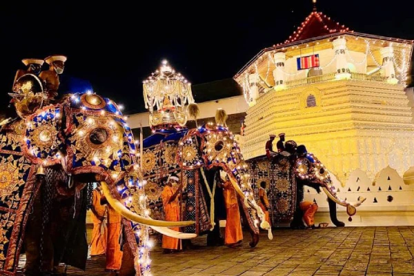 Elephant Procession